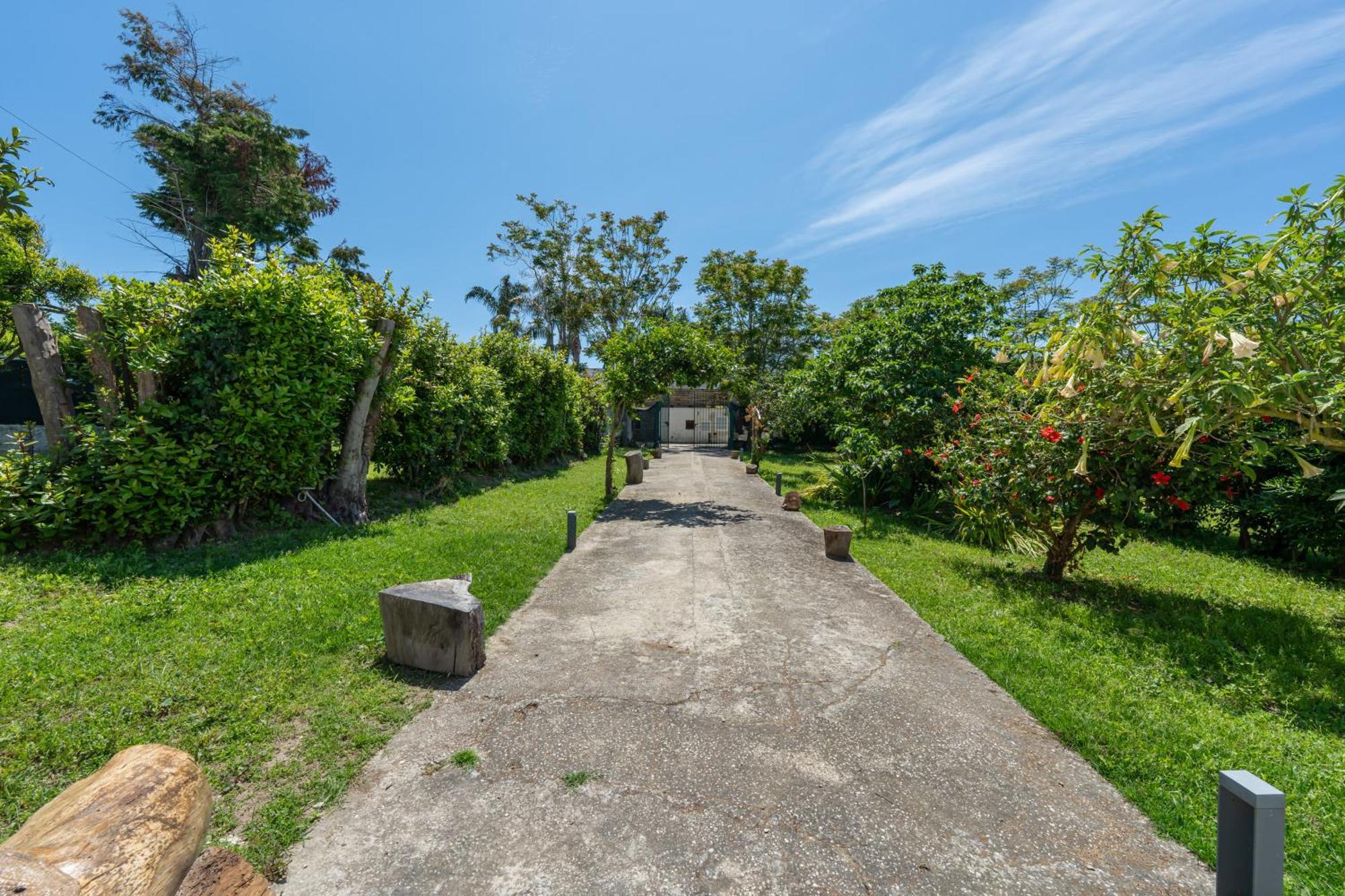 Villa Morea & Rooms In Procida Eksteriør billede